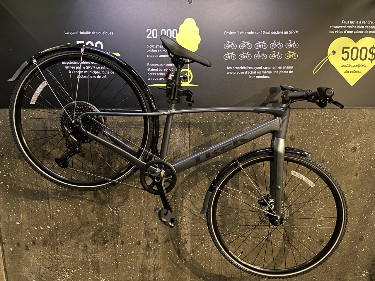 Voici Elsa, notre reine des neiges !