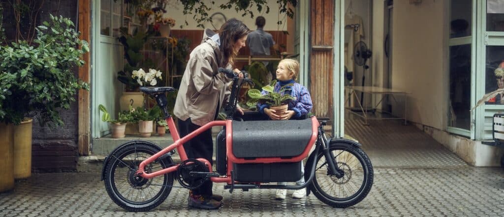 Vélo cargo Riese and Müller Carrie 2 -
