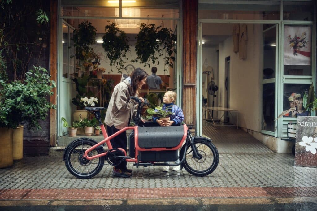 Vélo cargo Riese and Müller Carrie 2 -